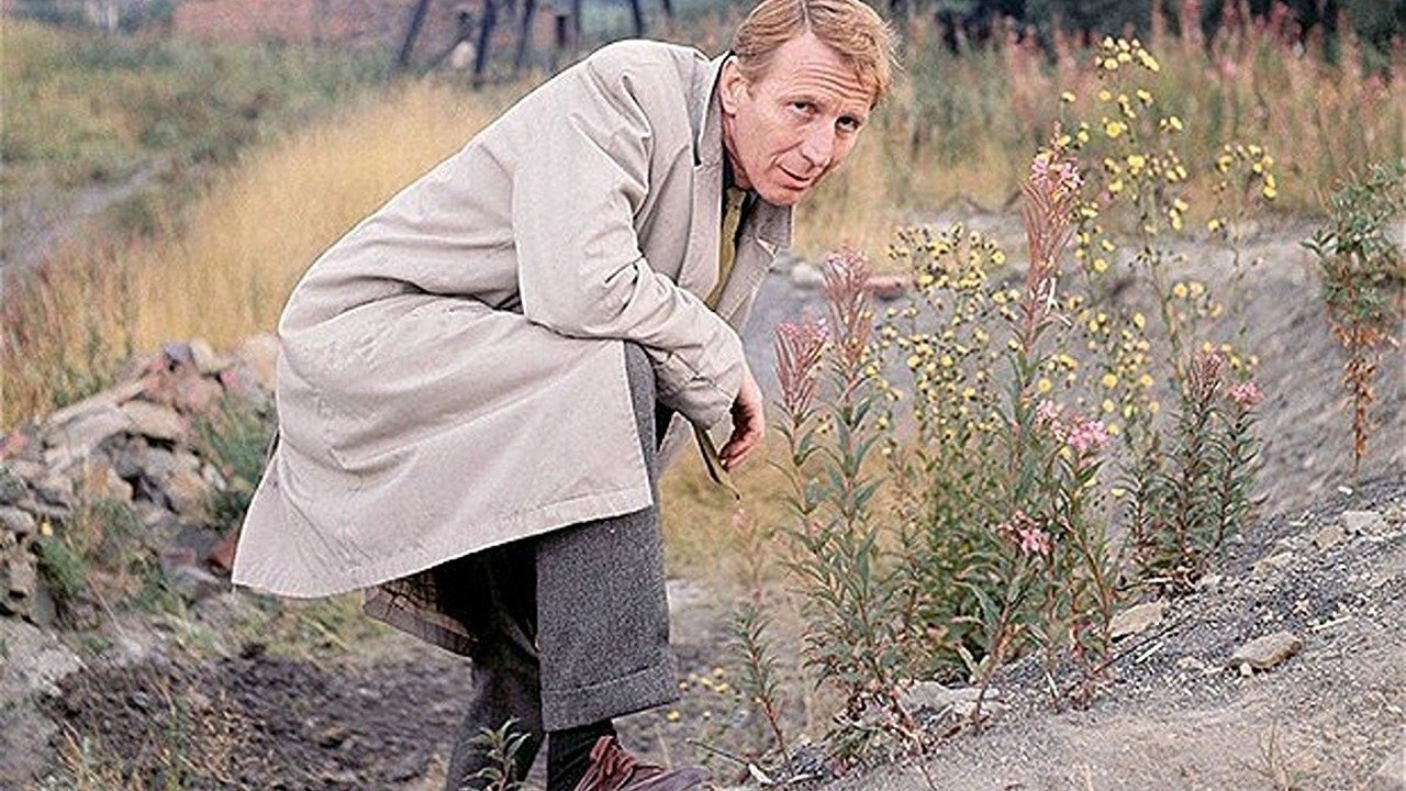 Скріншот